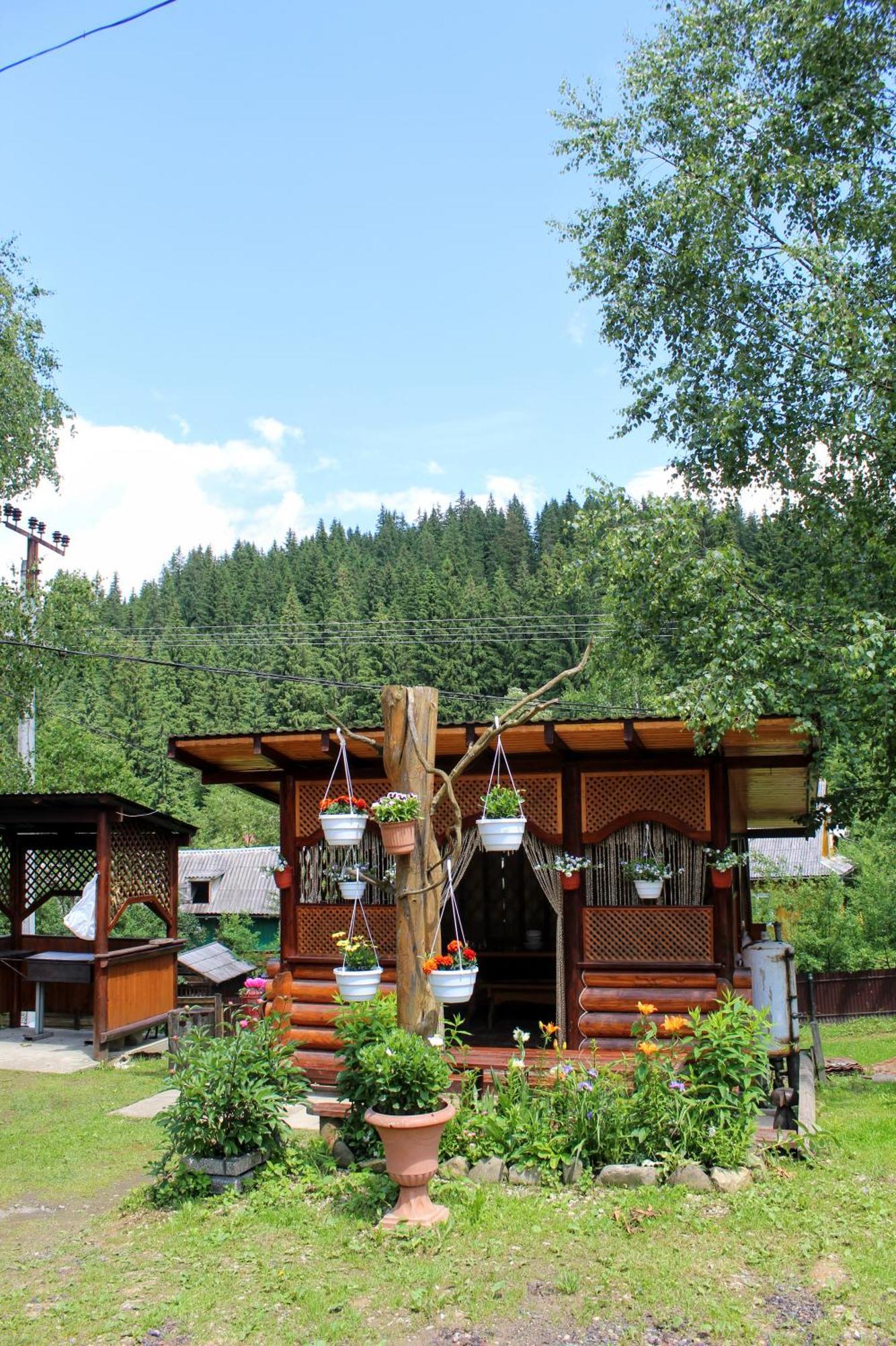 Садиба "У Валентини" Jablunyzja Exterior foto